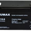Akumulator ACUMAX 6V 12AH serii AM AM 12-6
