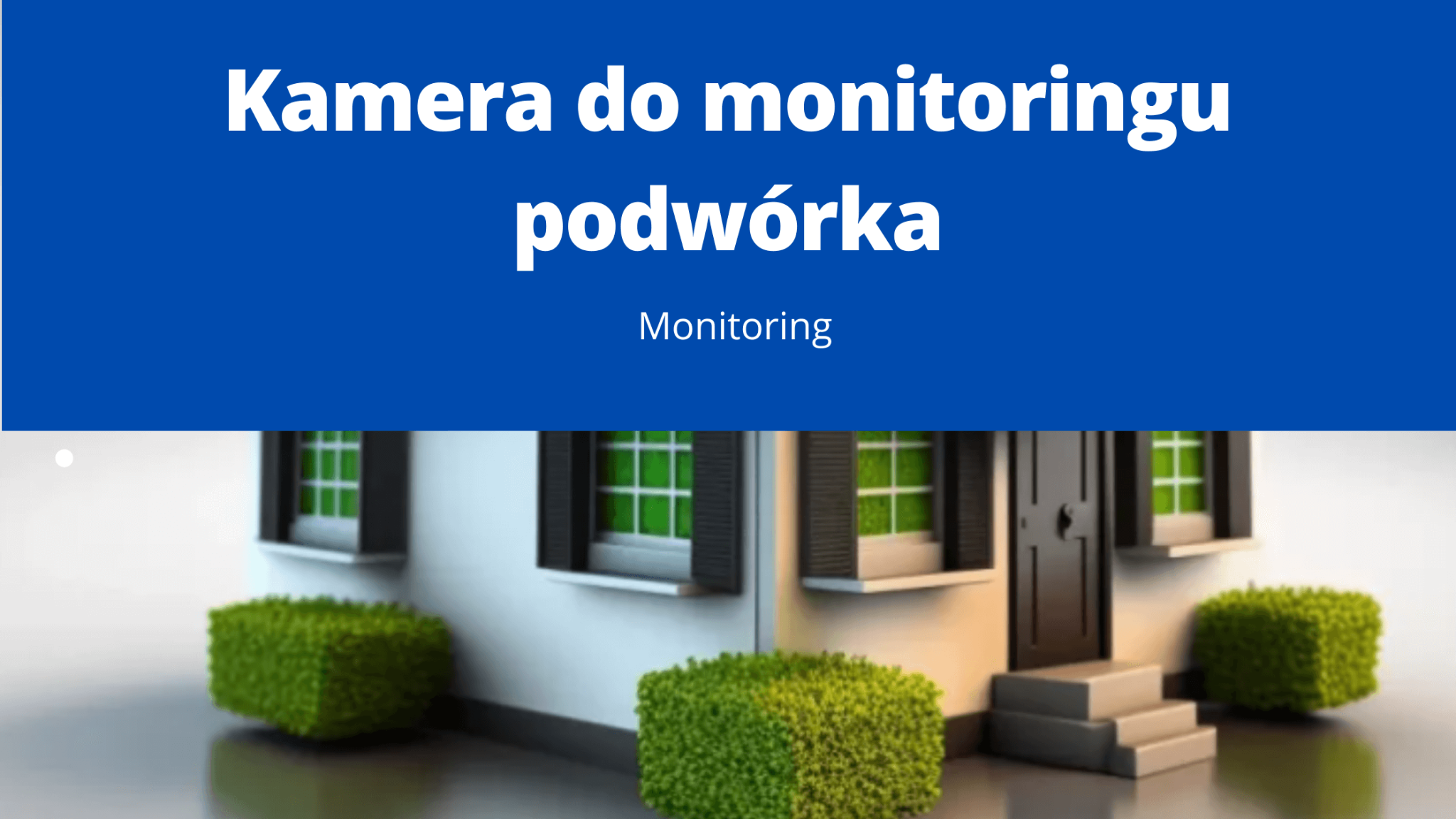 Jak Wybrać Kamerę Do Monitoringu Podwórka W 2023 Idg 4376